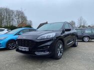 Ford Kuga ST-Line X - Papenburg