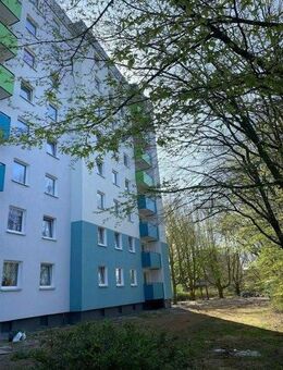 Helle 2-Zimmer-Wohnung mit Balkon - Oldenburg