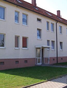 Gemütliches Einraumapartment am schönen Geiseltalsee sucht Mieter! - Mücheln (Geiseltal)
