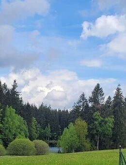 Traumlage! Rückzugsort wie im Urlaub! - Schöneck (Vogtland)