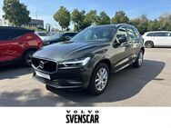 Volvo XC60, Momentum Pro AWD B5 Diesel EU6d-T digitales, Jahr 2020 - Regensburg