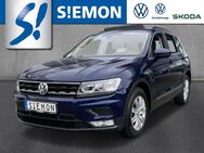 VW Tiguan, 2.0 TDI Comfort, Jahr 2017 - Lengerich (Nordrhein-Westfalen)