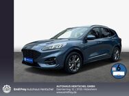 Ford Kuga 1.5 EcoBlue Aut. ST-LINE - Hildesheim