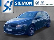 VW Golf, 1.6 TDI VII Allstar, Jahr 2016 - Salzbergen