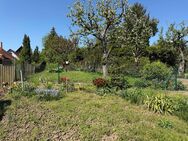 ?? Traumimmobilien in Weimar: Ihr perfektes Familienheim mit eigenem Garten & Atelier - Weimar