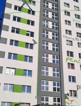 Renovierte 1-Raum Wohnung mit Balkon in Sandersdorf - Sandersdorf Sandersdorf