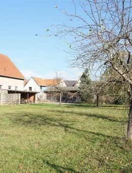 Bauernhaus, sofort nutzbar mit Ausbaureserve auf weitläufigem Grundstück! - Michelau (Steigerwald)