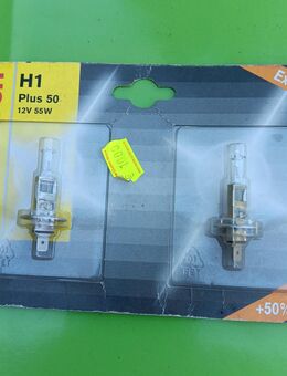 Halogen Autolampen Sockel H1/12V-55W - Kolkwitz