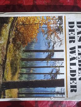 Das Leben der Wälder, Buch Jan Jenìk, Pavel Pecina - Verlag: Artia Praha 1978 - Angermünde