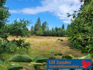 wunderschönes, großes Baugrundstück (4.885 m²) für 3 bis 4 Einfamilienhäuser oder Mehrfamilienhaus in Bad Bodenteich - Bad Bodenteich