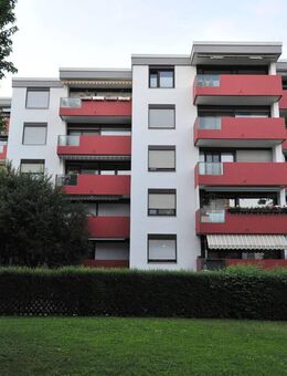 !FRÜH Immobilien: Großzügige 3,5 ZBK Eigentumswohnung im Erdgeschoß - Lampertheim