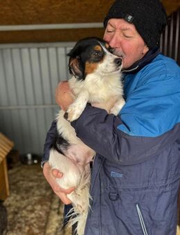 Brioche - freundlicher gehts nicht - Schlitz