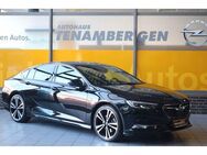 Opel Insignia B Grand Sport Exclusive 4x4 Massage AHK - Mettingen