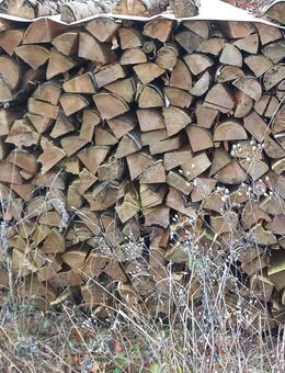 Brennholz abzugeben - Immendingen