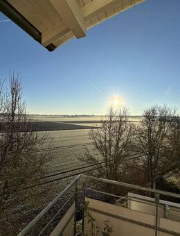 Tolle Galeriewohnung mit Blick auf die Felder und eigenem kleinen Garten - Altdorf (Landkreis Böblingen)