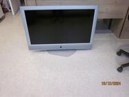 Fernseher LÖWE 40 Zoll - Viernheim