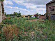 Voll erschlossenes Grundstück in Feldrandlage in Worms (Ibersheim) zu verkaufen - Worms