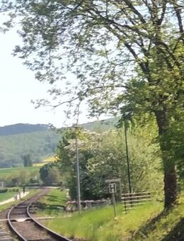 Ich suche Dich um endlich anzukommen... - Hannover