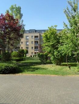 46310/158 Geräumige 2-Zi-Wohnung mit Dachterrasse in Troisdorf-Sieglar! - Troisdorf