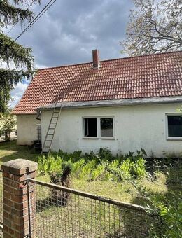 Klein aber mein! - Plötzkau