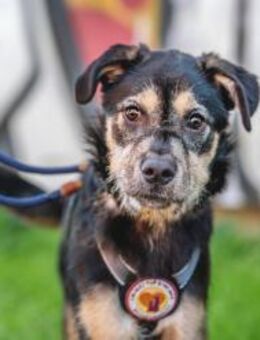 Wer möchte mit Puri durchs Leben gehen? - München