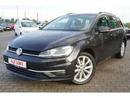 VW Golf VII 1.5 TSI Highline LED Navi Sitzheizung - Sandersdorf Brehna