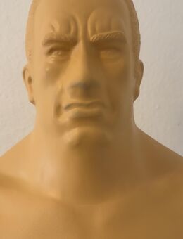 Dummy Boxmensch - Nordhorn