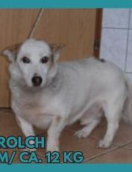 Senior Strolch - Margetshöchheim