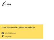 Finanzanalyst für Produktionsstätten - Burgdorf (Landkreis Region Hannover)