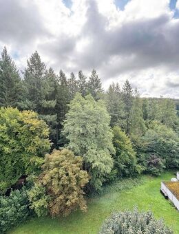 Helle Wohnung mit tollem Weitblick ins Grüne - Schopfheim