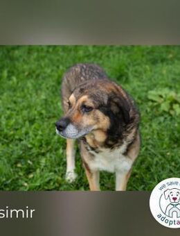 Casimir: Lieber Rüde - Kirchzell