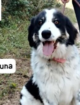 Luna Ein Blick genügt und nichts ... - Kissing