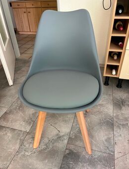 4 Nagelneue Stühle - Blomberg Brüntrup