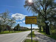 EFH mit großer Scheune in Erbach-Ersingen – inklusive extra Grundstück für EFH! - Erbach (Baden-Württemberg)