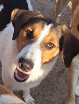 Friny - gute Laute inclusive! - Mettmann