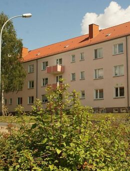 Wohnen in grüner Stadtrandlage Zeitz "Forststraße" - Zeitz
