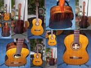 Verkaufe sehr schöne Toledo 4/4 Konzertgitarre* klassische Nylonsaiten Gitarre im Vogelsberg - Schotten
