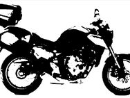 Ich M ü50 suche Biker(in) für Urlaubsfahrten - Freudenstadt