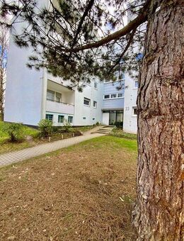 Lohfelden: 3ZKB mit Balkon - Lohfelden