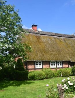 Historisches Zweiständer-Fachwerkbauernhaus mit Speicher und Scheune - Asendorf (Landkreis Diepholz)