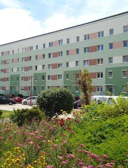 Schöne 2-Raum Wohnung mit Balkon - Calbe (Saale)