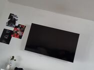 Sony Fernseher 55 Zoll - Schweich