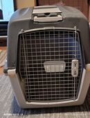 Gulliver Transportbox Gr XXL in 64625