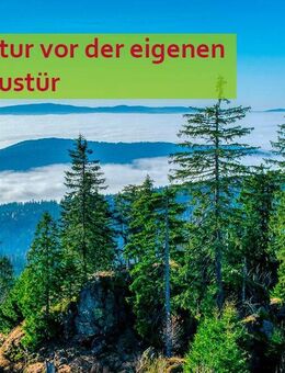 Die Steinzeit ist vorbei! Energieeffizient Bauen. - Hof