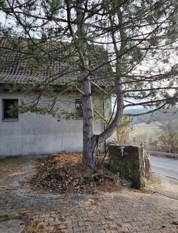 Einfamilienhaus mit großem Grundstück wartet darauf, von Ihnen wieder zum Leben erweckt zu werden! - Grafenau (Baden-Württemberg)