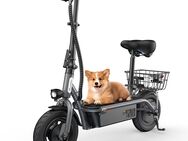 iScooter Elektroroller F2 Shopping-Scooter für Erwachsene, - Hamburg