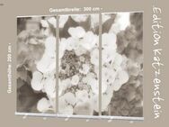 Bestatterbedarf: Roll-Up Display "Hortensienblüten" Dekoration Trauerhalle - SW Version - Wilhelmshaven