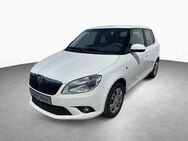 Skoda Fabia, 1.2 TSI ACTIVE 86PS, Jahr 2014 - Burgoberbach