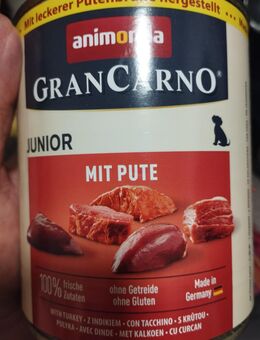 Junior Hundefutter - Stavenhagen (Reuterstadt)