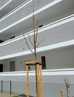 Bringen Sie Ihr Herz mit, es wird sich wohlfühlen! - Bochum